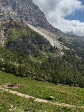 İtalyan Dağ Manzarası: Çayır ve Alp Ormanı. Yüksek kalite fotoğraf