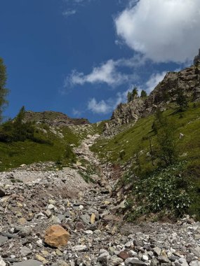 Alp Vadisi Manzarası: Orman ve Gökyüzü Manzarası, Dağ Manzarası, Bulutlu Vadi. Yüksek kalite fotoğraf