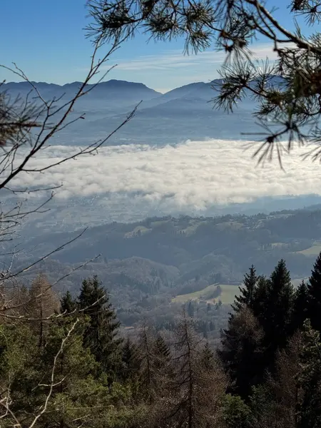 Dağ manzarası, dallar ve Mavi Gökyüzü. Yüksek kalite fotoğraf