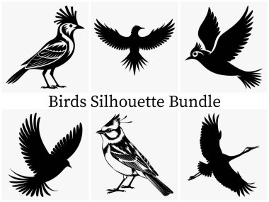 Vahşi Yaşam Temalı Tasarımlar için Çarpıcı Uçan Kuş silueti SVG Clipart. Mükemmel ya da Logo, Simge ve Çizimler. Kuş Vektörü İllüstrasyonu.