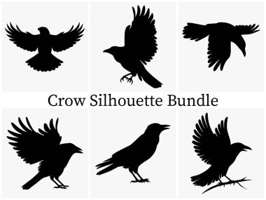 Gizemli Uçan Karga Silueti Karanlık ve Ürkütücü Tasarımlar için SVG. Raven ve Crow Silueti Cadılar Bayramı ve Gotik Temalar için mükemmel. Karga Vektör İllüstrasyonu.