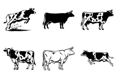 Minimalist Siyah İnek Silüeti Beyaz Arkaplan 'da tecrit edildi. Kırsal İnek, Vintage İnek, Zarif İnek, Vahşi Batı İneği - Çiftlik ve Süt Ürünleri Hayvan Vektörü Resimleri.
