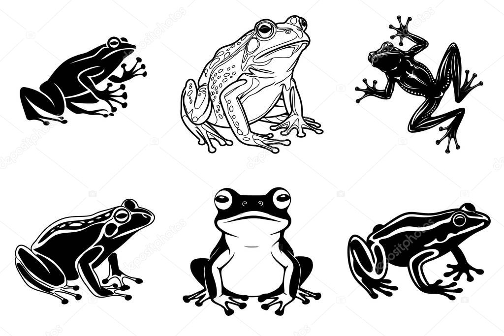 Realistic Frog Silhouette clipart SVG Bundle Design. Jumping Frog, Wildlife Frog, Stylized Frog Vector Illustration.