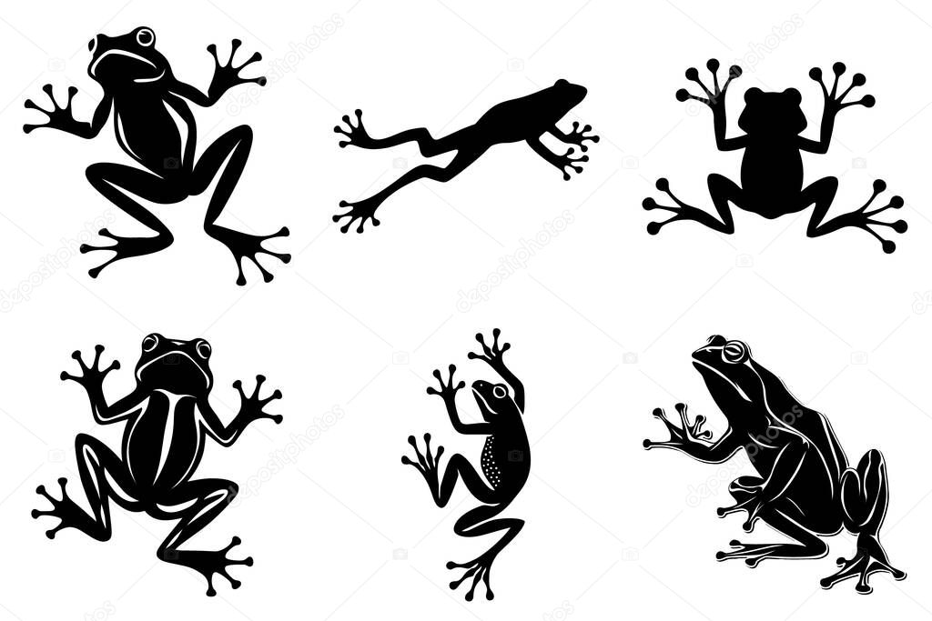 Realistic Frog Silhouette clipart SVG Bundle Design. Jumping Frog, Wildlife Frog, Stylized Frog Vector Illustration.