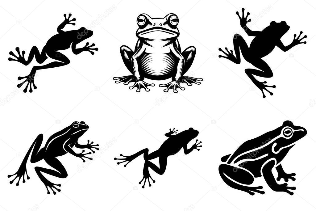 Realistic Frog Silhouette clipart SVG Bundle Design. Jumping Frog, Wildlife Frog, Stylized Frog Vector Illustration.