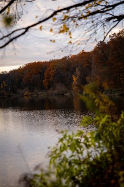 Sakin göl kenarındaki manzaralı sonbahar ormanı yumuşak akşam gökyüzü altında