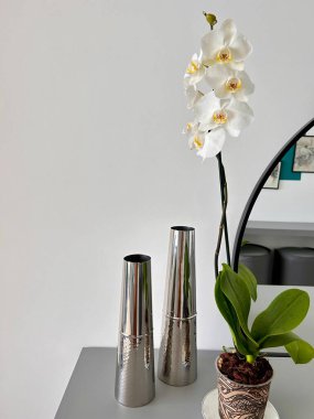 Beyaz bir orkidenin çiçek açtığı zarif bir iç mekan sahnesi. Gri masadaki iki yansıtıcı metal vazonun yanında. Arka planda ayna ve modern duvar sanatı var.