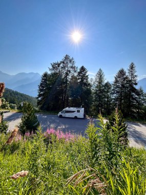 Yolun kenarına park etmiş bir minibüsün panoramik görüntüsü. Etrafı uzun, gür çam ağaçları ve açık mavi gökyüzü altında canlı kır çiçekleri ve parlak bir güneş ışığı ile çevrili..