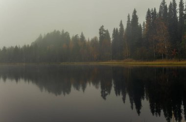 Kalın sisli battaniyelerin panorama çekimi sakin göl, sık orman ve sonbahar renklerini yansıtıyor, sakin, rüya gibi bir sahne yaratıyor. Altın yapraklar yemyeşil ağaçlarla harmanlanarak Finlandiya, Avrupa 'da uzak doğada barışçıl bir atmosfer oluşturur.