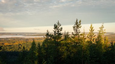 Gün doğumu büyük bir İskandinav ormanını altın renkleriyle aydınlatırken, sis uzak gölleri ve yuvarlanan tepeleri kaplıyor. Taze sonbahar havası dingin ve el değmemiş doğayı güçlendirir. Finlandiya, Avrupa 'da yakalandı.