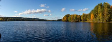 Sakin göl, parlak sonbahar yapraklarını yansıtıyor. Açık gökyüzünün altında, mavi ile zıt renkte altın renkleri var. Bereketli orman ve uzak tepeler temiz hava ve sükunetle huzurlu bir doğa manzarası yaratır. Finlandiya, Avrupa 'da yakalandı. Kolin kansallispuist