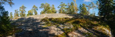 Uçsuz bucaksız kayalar güneş ışığıyla yıkanmış, yosun ve liken parçalarıyla süslenmiş, el değmemiş İskandinav vahşi doğasında yüksek çam ağaçlarıyla çevrili, dingin doğaya bir bakış sunuyor. Finlandiya, Avrupa 'da yakalandı. Kolin Kansallispuisto, Ulusal Park