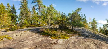 Parlak mavi bir gökyüzü altında yosun parçaları ve dağınık çam ağaçları ile geniş kayalık arazi, engebeli İskandinav doğasını ve el değmemiş çevredeki sakin yabanı sergiliyor. Finlandiya, Avrupa 'da yakalandı. Kolin Kansallispuisto, Ulusal Park.