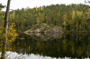 Yoğun ormanlarla çevrili kayalık bir ada, Finlandiya gölünün sakin sularına yansıyarak canlı sonbahar yaprakları sergiliyor. Leivonmaen Milli Parkı, Finlandiya, Avrupa 'da yakalandı.