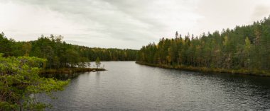 Manzaralı bir Finlandiya gölü, ağaç kaplı küçük bir adanın yer aldığı yoğun sonbahar ormanlarıyla çevrilidir ve bulutlu bir gökyüzü altında doğanın dokunulmamış güzelliğini yansıtır. Leivonmaen Milli Parkı, Finlandiya, Avrupa 'da yakalandı.