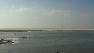 Uçsuz bucaksız bir sahil sahnesinde ufka doğru uzanan kumsallar, yumuşak gökyüzü renklerini yansıtan sakin sığ sular ve yukarıda süzülen yalnız bir kuş, yalnızlık ve sükuneti çağrıştırıyor. Schiermonnikoog Ulusal Parkı, Hollanda, Avrupa 'da yakalandı.