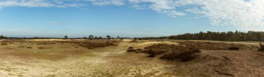 Uçsuz bucaksız Heathland manzarası kumlu arazi boyunca uzanır. Kuru çimenler ve çalılar yumuşak güneş ışığı altında uzak ormanlık alanlara karışıp huzurlu bir doğa kaçışı sunar. Hoge Veluwe Ulusal Parkı, Hollanda, Avrupa 'da yakalandı.