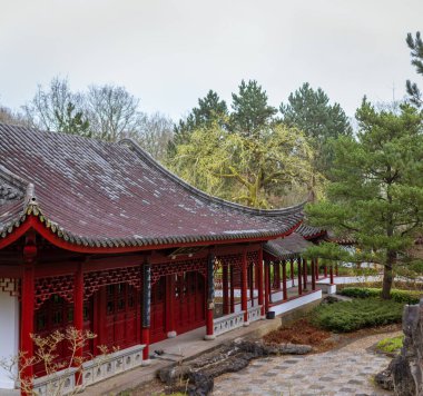Geleneksel Çin pavyonu, süslü kırmızı sütunlarla süslü ahşap oymalar kavisli çatı doğal çevreyle uyumlu, yemyeşil, dingin atmosfer tarihi zarafeti çağrıştırıyor. Botanik bahçesinde yakalandı, Groningen, Hollanda, E