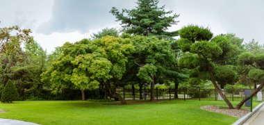 Heykeltraş edilmiş çam ağaçları, canlı yapraklar, yemyeşil çimenler ve geleneksel peyzaj estetiğini yansıtan huzurlu bir ortam çok güzel korunmuş bir bahçe. Seul, Güney Kore ve Asya 'da yakalandı.