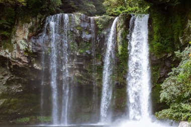 Güçlü ikiz şelaleler yosun kaplı uçurumlara dalarak yoğun tropikal yapraklarla çevrili büyüleyici, sisli bir atmosfer yaratarak nefes kesici bir doğal manzara sunuyor. Jeju, Güney Kore ve Asya 'da yakalandı.