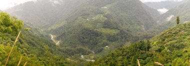 Yoğun bitki örtüsüyle kaplı yüksek yeşil dağlar dağınık çiftlikler ve sis kaplı tepelerle çevrili bir nehir, bozulmamış doğal güzellik ve kırsal yaşam manzarası yaratıyor. Tayvan, Asya 'da yakalandı..