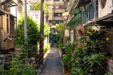 Bereketli yeşil bitkiler, bisikletler ve Taipei 'de huzurlu bir şehir inzivası sunan klima ve kırsal mimarinin yer aldığı geleneksel evlerle dolu dar bir yerleşim yeri. Tayvan, Asya 'da yakalanmış..