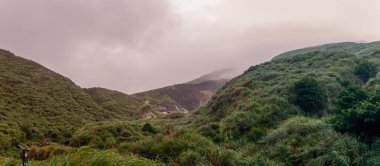 Çürümüş beton sütunlarla desteklenen, engebeli kayalar ve yoğun bitki örtüsüyle çevrili, akan nehrin üzerinden uzanan bambu köprüsü, insan yaratıcılığını ve doğasının esnekliğini vurgular. Tayvan, Asya 'da yakalandı..