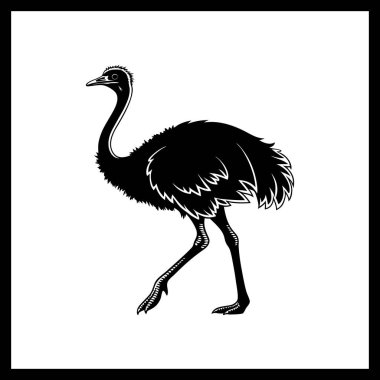 Vahşi Yaşam Hayvanın Gölgesi Siluet Vektör Sanat Koleksiyonu