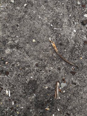 Enkazla kaplanmış Dokulu Zemin 'in Yakın Görüntüsü