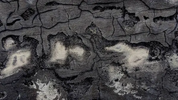 Derin Çatlaklara sahip soyut Gri ve Siyah desenli Yüzey