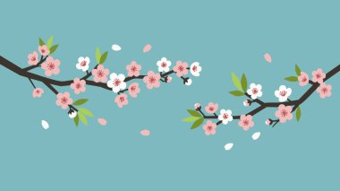 Kiraz çiçeklerinin stilize edilmiş iki dalı, pembe ve beyaz, düşen yapraklarla, açık deniz mavisi arkaplanına dayanır..