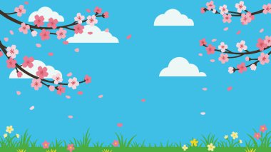 Canlı pembe kiraz çiçekleri dallardan çağlayarak parlak mavi bir gökyüzüne doğru süzülüyor, tüylü beyaz bulutlarla benekli. Küçük çiçekler ve çimenler görüntünün alt kısmını oluşturur.