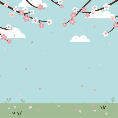 Pastel pembe ve beyaz kiraz çiçekleri ince ince bulutlu açık mavi gökyüzüne doğru dallardan yavaşça düşer. Basit otlar ve küçük bitkiler dipte..