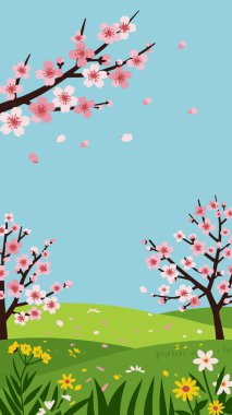 Çiçek açan kiraz ağaçları ve dağınık çiçek yapraklarıyla bir bahar çayırının canlı bir çizimi..