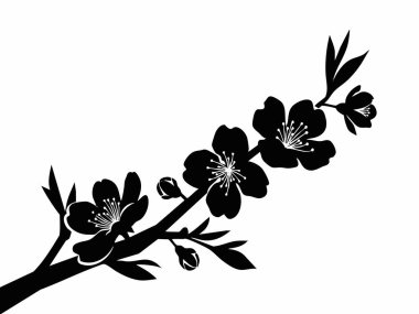 Narin çiçekler ve yapraklarla çiçek açan bir dalın ayrıntılı bir silueti..