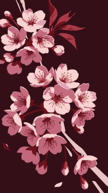 Zengin bir kestane rengi arka planda yer alan zarif pembe kiraz çiçeklerinin yakın plan görüntüsü.. 