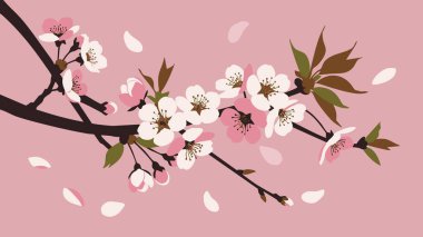 Pembe ve beyaz çiçeklerin çeşitli tonlarında, narin yapraklar ve yumuşak, pastel pembe arka planda düşen taç yaprakları olan çiçek açan bir dalın stilize bir çizimi..