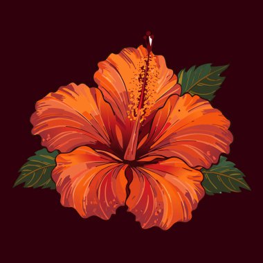 İnce gölgeleme ve doku ile koyu turuncu taç yaprakları içeren biçimlendirilmiş bir amber çiçeğinin yakın görüntüsü. Koyu yeşil yapraklar çiçeği çerçeveler..