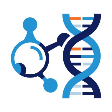 Mavi, lacivert, turuncu ve açık gri tonlarında yapılmış DNA çift sarmallı ve molekül yapısının biçimlendirilmiş bir grafiği..