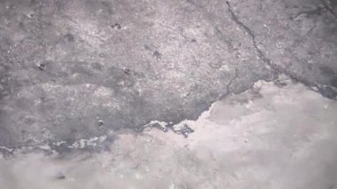 Dokulu bir yüzeyin mikroskobik görüntüsü, muhtemelen taş ya da beton. Video gri tonlardaki ve dokulardaki ince değişimleri gösteriyor. Çerçeveler arasında önemli bir hareket ya da değişim gözlemlenmedi.
