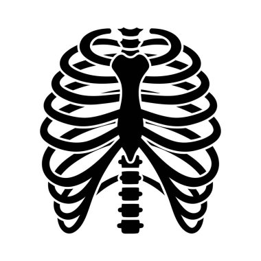 Ayrıntılı siyah anatomik göğüs kafesi çizimi, insan iskeletinin yapısını kaburga, göğüs kemiği ve omurga ile gösteriyor..