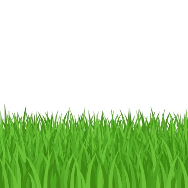 Sınır veya tasarım elementi olarak uygun yoğun yeşil çimen yapraklarının canlı bir çizimi.