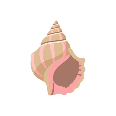 Sivri uçlu bir kule ve geniş bir açıklık içeren pembe ve kahverengi çizgilerle süslenmiş kabuklu deniz kabuğunun stilize edilmiş bir çizimi..