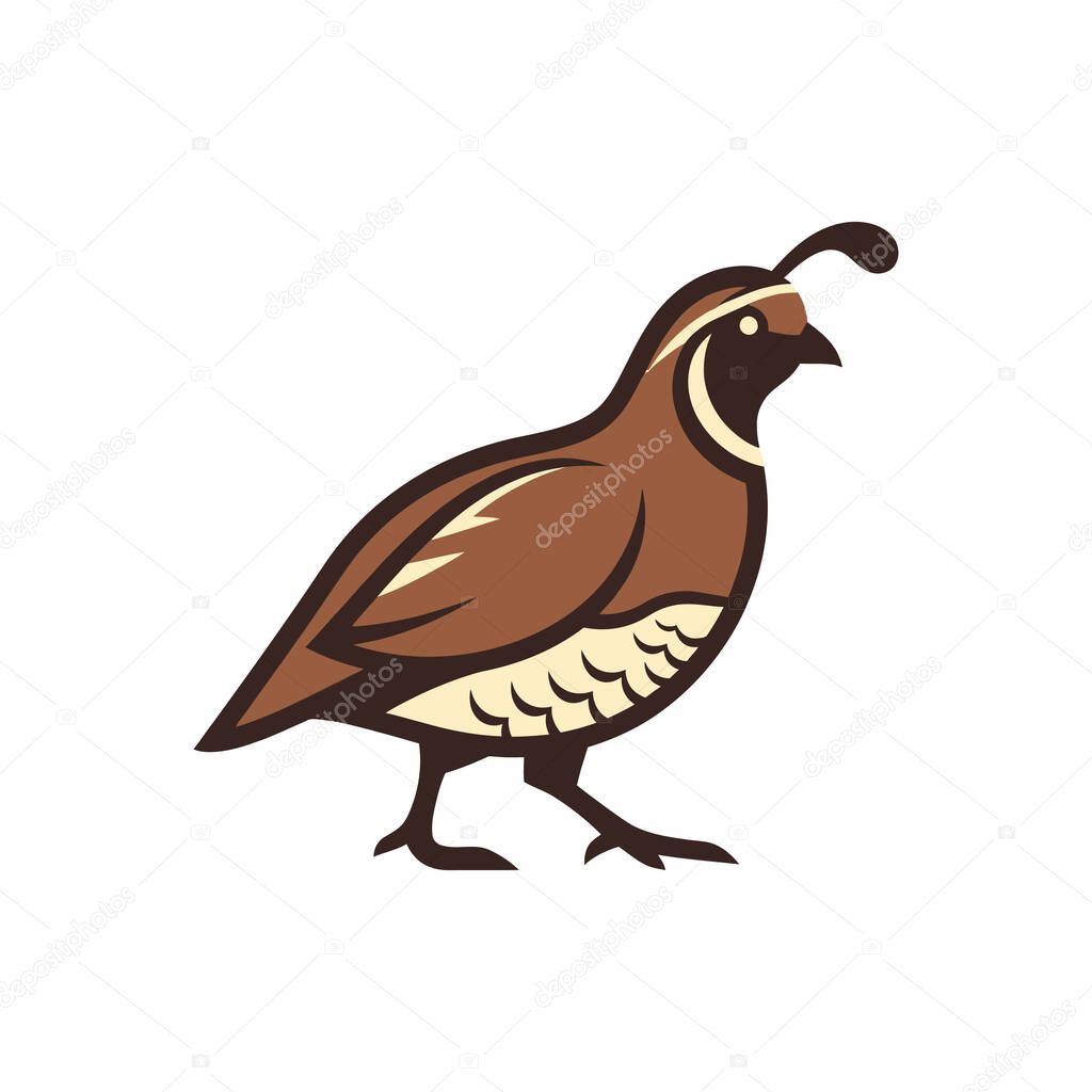 A simple vector graphic of a California quail in a side profile view. The bird is brown with a distinctive topknot and is standing on a clean white background.