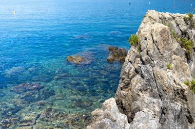 Kayalık sahil ve deniz