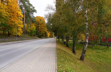 Sonbaharda Letonya 'nın Ogre kasabasında bir sokak, canlı sonbahar renklerinde ağaçlarla kaplı..                               