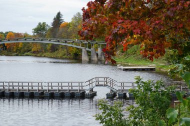 Arka planda bir duba ve kavisli yaya köprüsünün yer aldığı, ön planda sonbahar renklerini gösteren canlı bir akçaağaç bulunan Ogre Nehri manzarası..