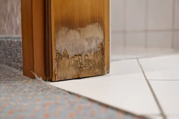 Görünür su hasarı ve tabanda döşeme ve halının bitişiğinde küf büyümesi olan ahşap bir kapı çerçevesi..