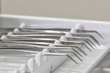 Tepsiye yerleştirilmiş çeşitli diş aletlerinin yakın plan görüntüsü. Enstrümanlar parlak ve metaliktir. Diş işlemleri için hassas tasarımlarını sergilerler..