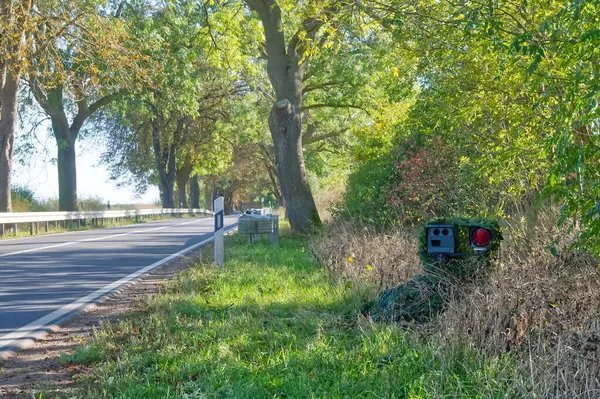 Ağaçlar ve yeşilliklerle çevrili kırsal bir yol boyunca çalıların arasında gizlenmiş kamufle edilmiş bir hız kamerası. Kamerada kırmızı ışık var, aktif olduğunu gösteriyor..